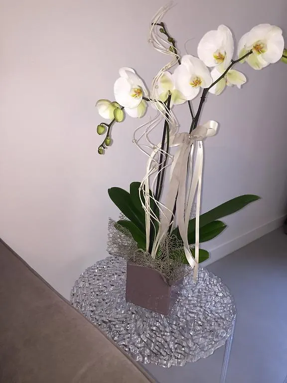 L'Angolino Nascosto Apartment Verona Italy