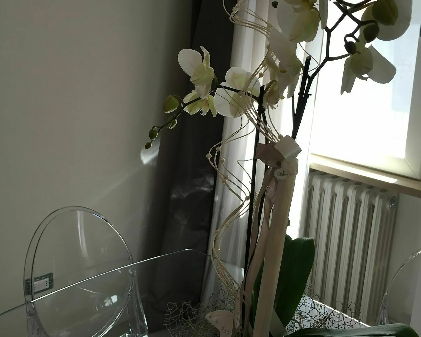 L'Angolino Nascosto Apartment Verona